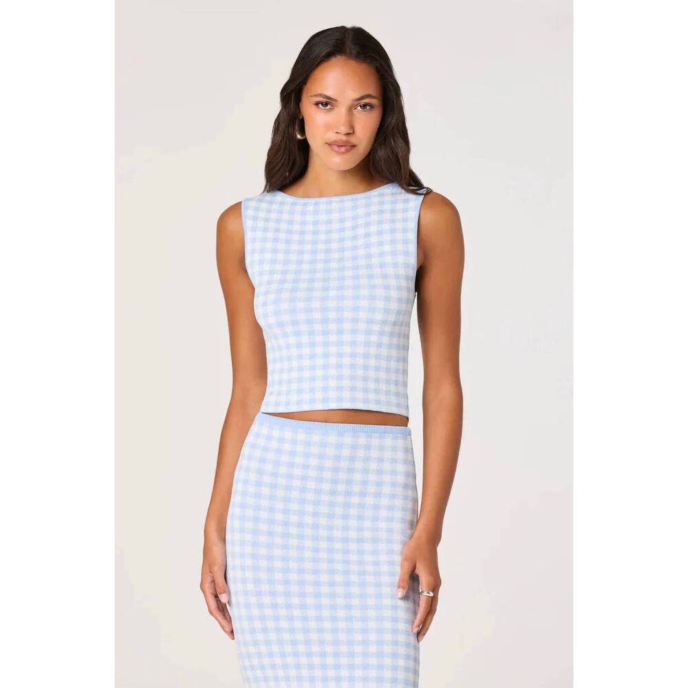 NEW ASTR babbett sweater top in blue gingham